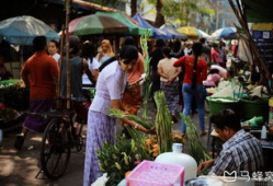 吃瓜爆料缅甸事件真相,吃瓜群众视角下的真相还原