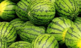 朝阳群众网红爆料吃瓜,真相大白！